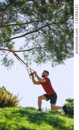Athletic man doing trx workout outdoors, with hanging straps on tree branches and doing squats. Active and intense training session Athletic man doing trx workout outdoors, with hanging straps on tree branches and doing squats. Active and intense training session 116366121