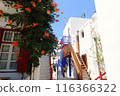 Mykonos white buildings and bougainvillea 116366322