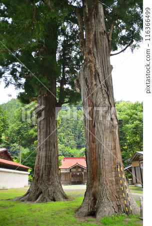小高神社是位於埼玉縣秩父郡小鹿野町美山的能量景點 116366499