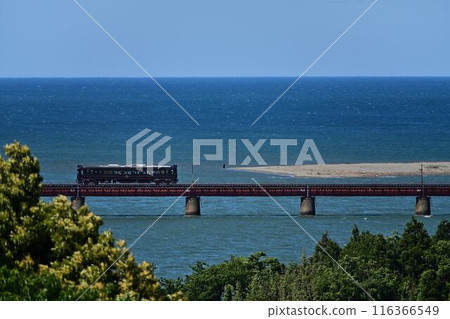 青松渡海 116366549