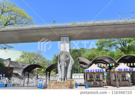 多摩動物公園 園內風景 116366720