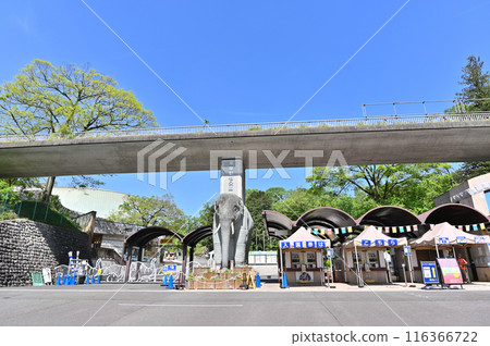 多摩動物公園 園內風景 多摩動物公園 園內風景 116366722