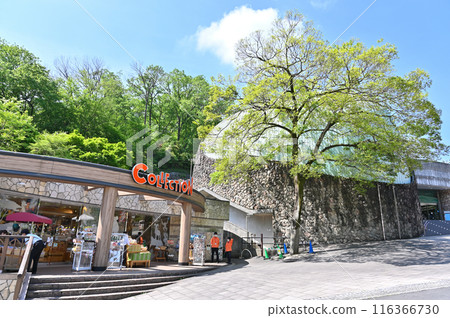 Tama Zoological Park - Scenery inside the park 116366730
