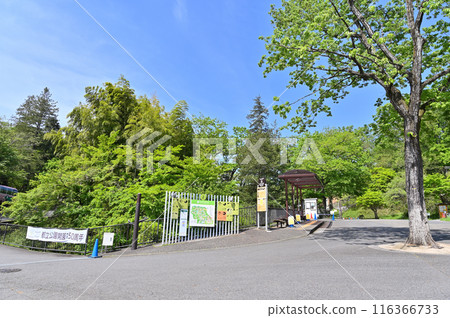 多摩動物公園 園內風景 多摩動物公園 園內風景 116366733