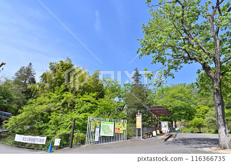 多摩動物公園 園內風景 多摩動物公園 園內風景 116366735