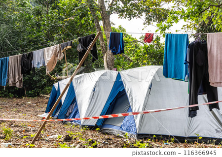 Campers drying clothes with on line at campsite next to tent Campers drying clothes with on line at campsite next to tent 116366945
