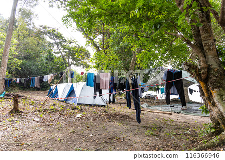 Campers drying clothes with on line at campsite next to tent Campers drying clothes with on line at campsite next to tent 116366946