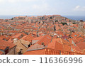 Red roofs of Dubrovnik, Croatia 116366996
