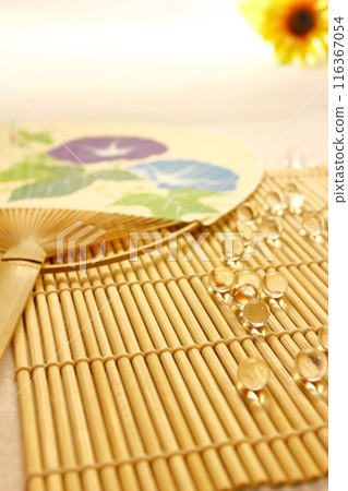 Morning glory fan and summer scenery 116367054