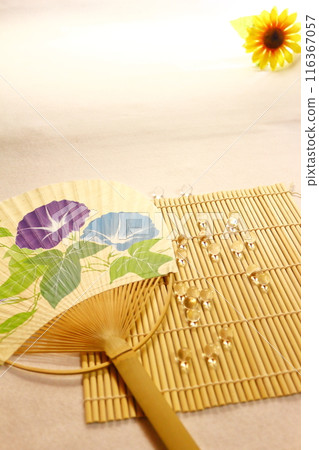 Morning glory fan and summer scenery 116367057