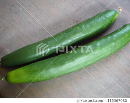 在自家菜園裡收穫的黃瓜 116367080