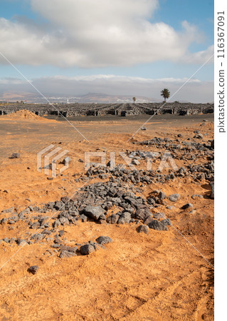 Stones and soil for the vineyards, Lanzarote, Spain 116367091