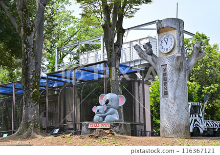多摩動物公園 園內風景 多摩動物公園 園內風景 116367121