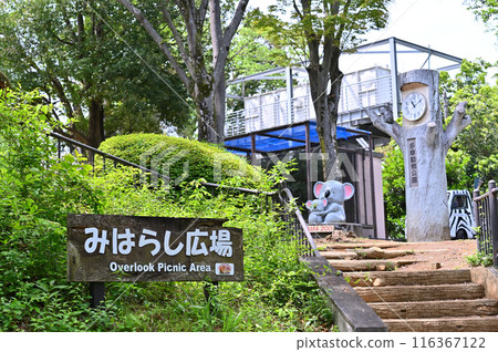 多摩動物公園 園內風景 多摩動物公園 園內風景 116367122