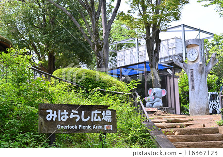 多摩動物公園 園內風景 多摩動物公園 園內風景 116367123