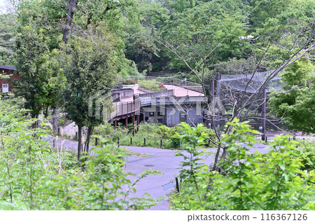 Tama Zoological Park - Scenery inside the park Tama Zoological Park - Scenery inside the park 116367126