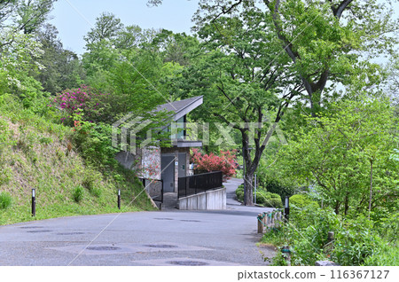 Tama Zoological Park - Scenery inside the park Tama Zoological Park - Scenery inside the park 116367127