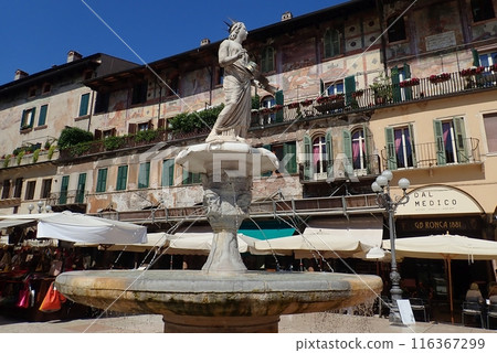 Madonna Fountain in the Piazza delle Erbe in Verona, a World Heritage Site, Italy 116367299