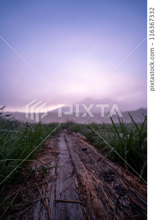 Morning glow of Oze Morning glow of Oze 116367332