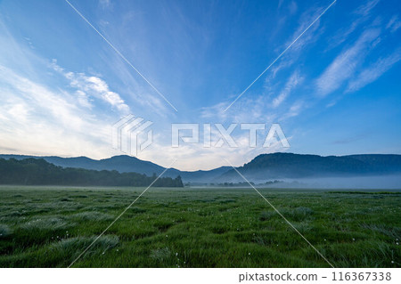 Oze of Oze 116367338