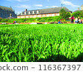 Beautiful lawn and people enjoying their leisure time 116367397