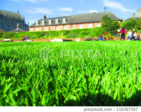 Beautiful lawn and people enjoying their leisure time 116367397