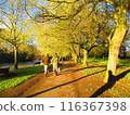 River and promenade at spring twilight 116367398
