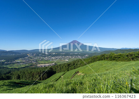 初夏的沙市山 初夏的沙市山 116367423