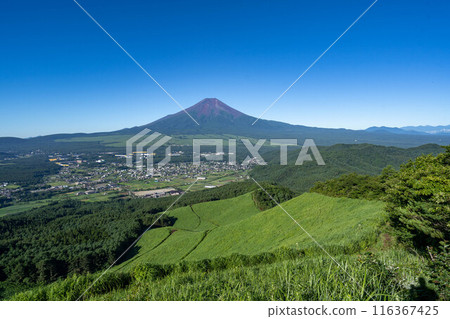 初夏的沙市山 初夏的沙市山 116367425