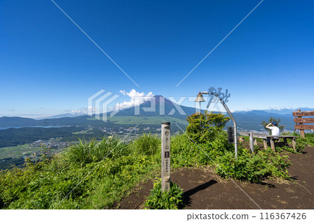 初夏的沙市山 116367426