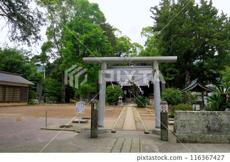 河津來宮神社和參道上的鳥居 河津來宮神社和參道上的鳥居 116367427