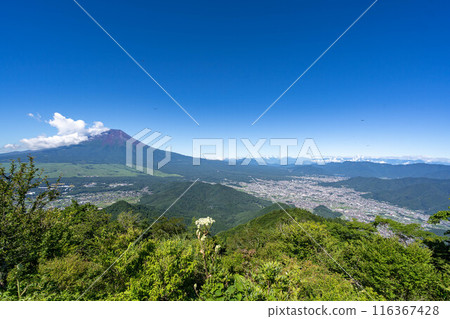初夏的沙市山 初夏的沙市山 116367428