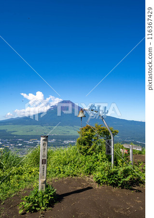 初夏的沙市山 初夏的沙市山 116367429