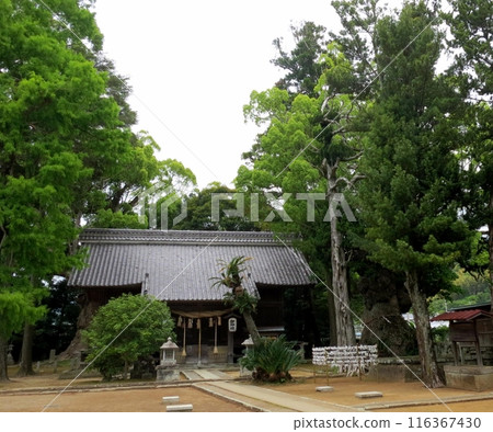 Kawazu Kinomiya Shrine and its approach Kawazu Kinomiya Shrine and its approach 116367430