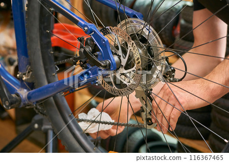 Bicycle repair. Master adjusts bicycle rear wheel Bicycle repair. Master adjusts bicycle rear wheel 116367465