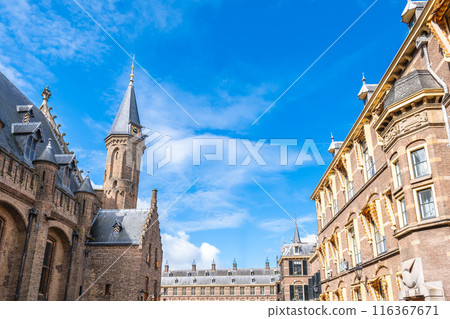 The Ridderzaal, Hall of Knights, the main building of Binnenhof in the Hague, Netherlands 116367671