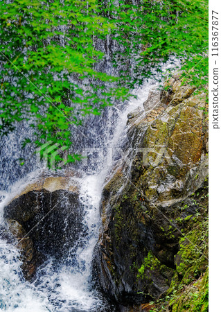 Small waterfall Small waterfall 116367877
