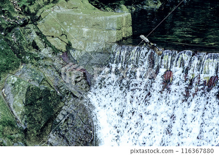 Small waterfall 116367880