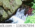 Beautiful waterfall 116367894