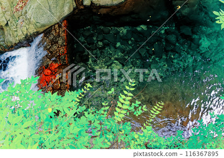 美麗的瀑布 116367895