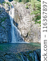 Beautiful waterfall 116367897