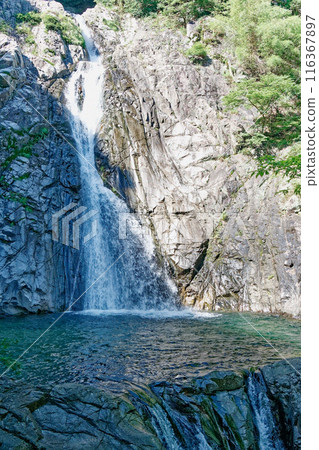 美麗的瀑布 116367897