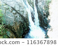 Beautiful waterfall 116367898