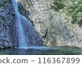 Beautiful waterfall 116367899