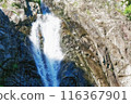 Beautiful waterfall 116367901