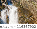 Beautiful waterfall 116367902