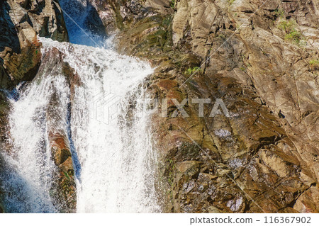 Beautiful waterfall 116367902