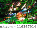 mysterious clear stream 116367914