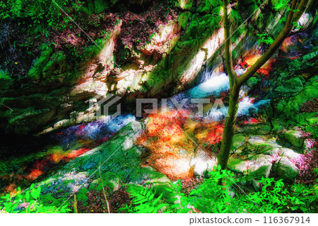 神秘的清流 116367914