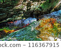 mysterious clear stream 116367915